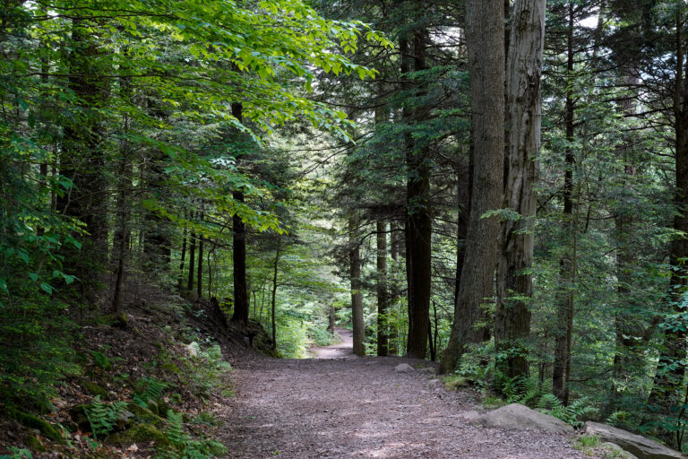 fence installation in Wind Gap PA